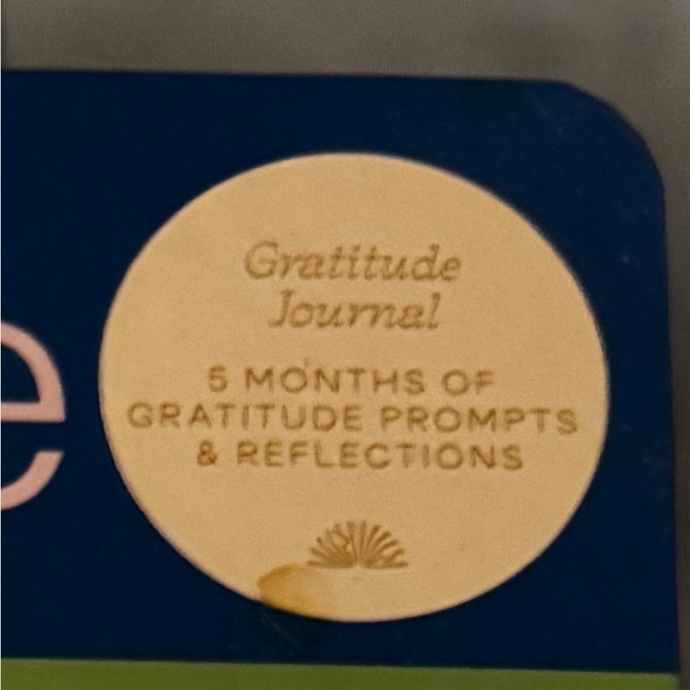 Gratitude Journal - NWOT - Picture 3 of 15